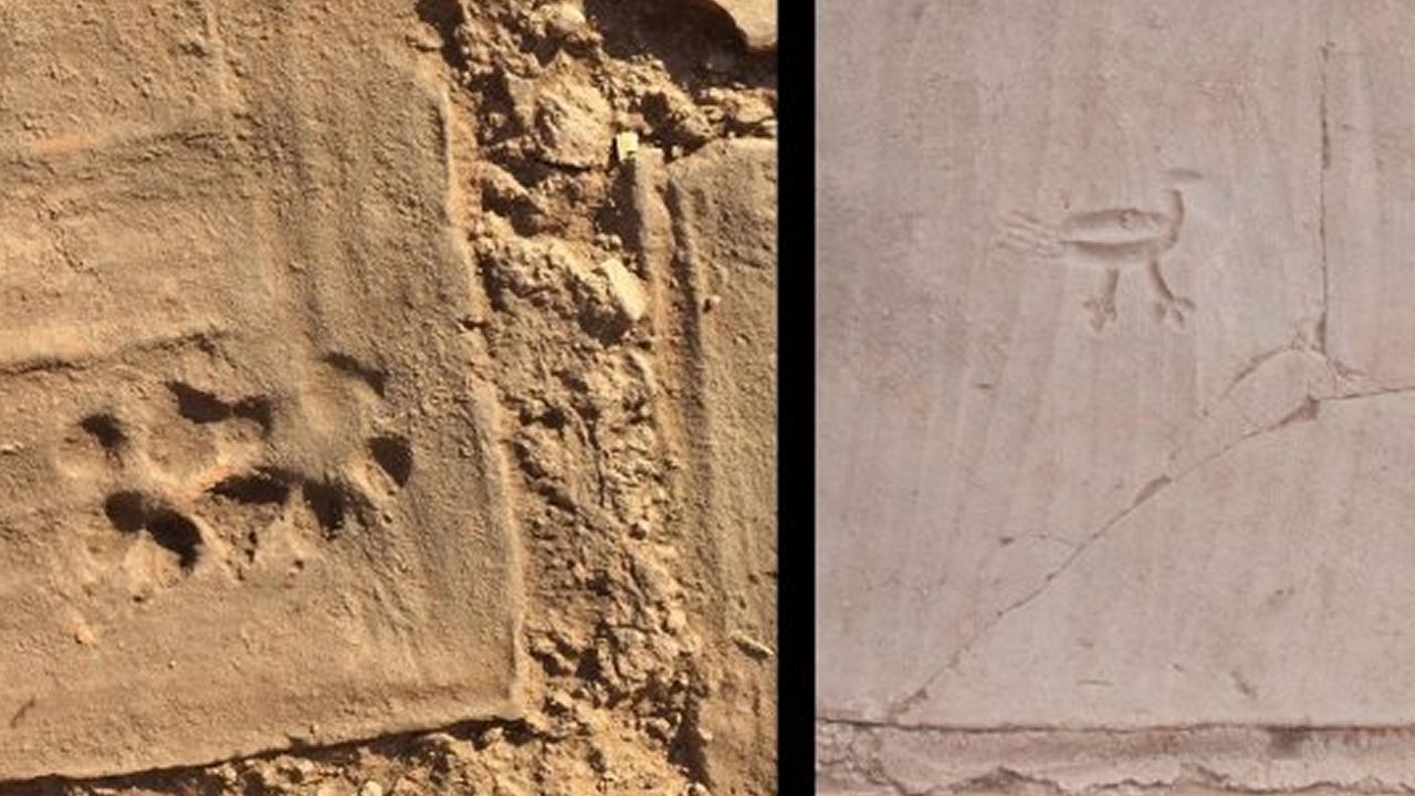 Manisa'da her kazma darbesinde ortaya çıktı! ABD'li arkeologlar gözlerine inanamadı