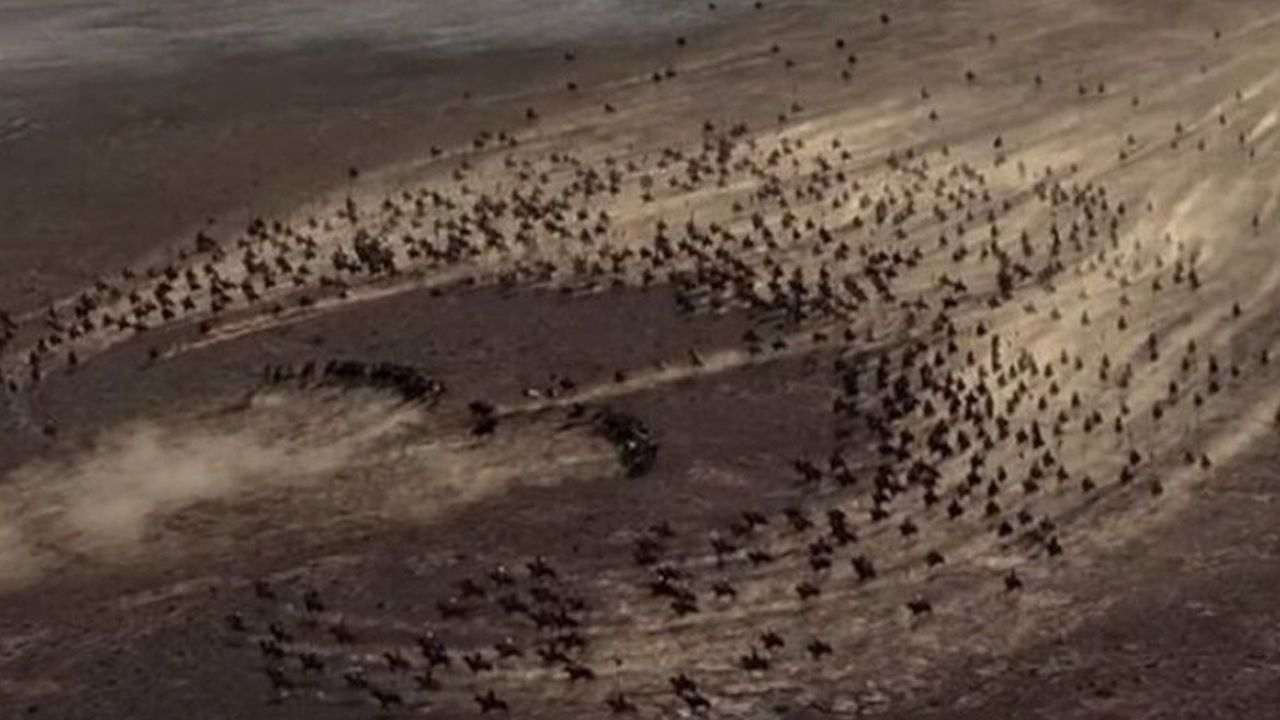 Turan taktiğinin sırrı: Hilal (Turan) taktiği nedir? Hilal taktiği nasıl uygulanır?