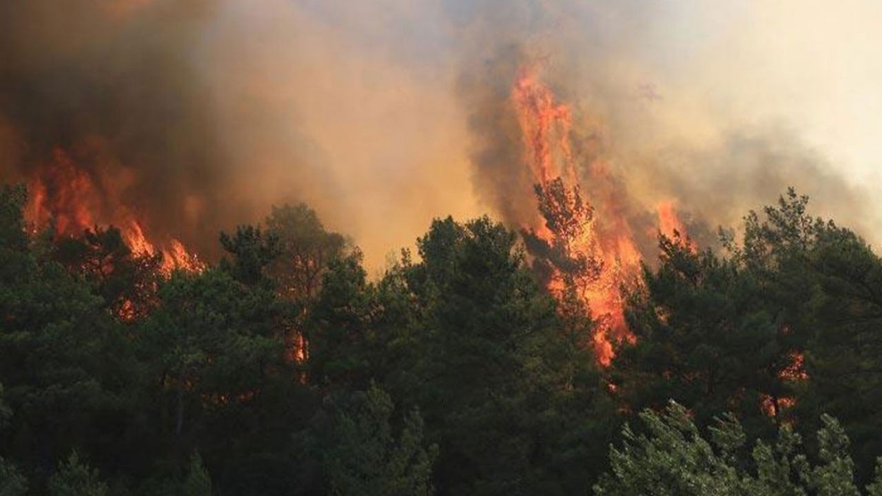 Muğla'da 11 farklı noktada orman yangını