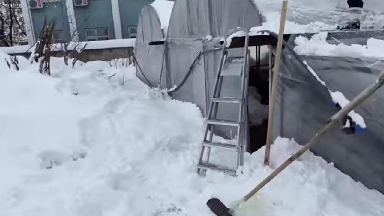 Kahramanmaraş'ta yoğun kar nedeniyle seralar zarar gördü: Çok mağduruz