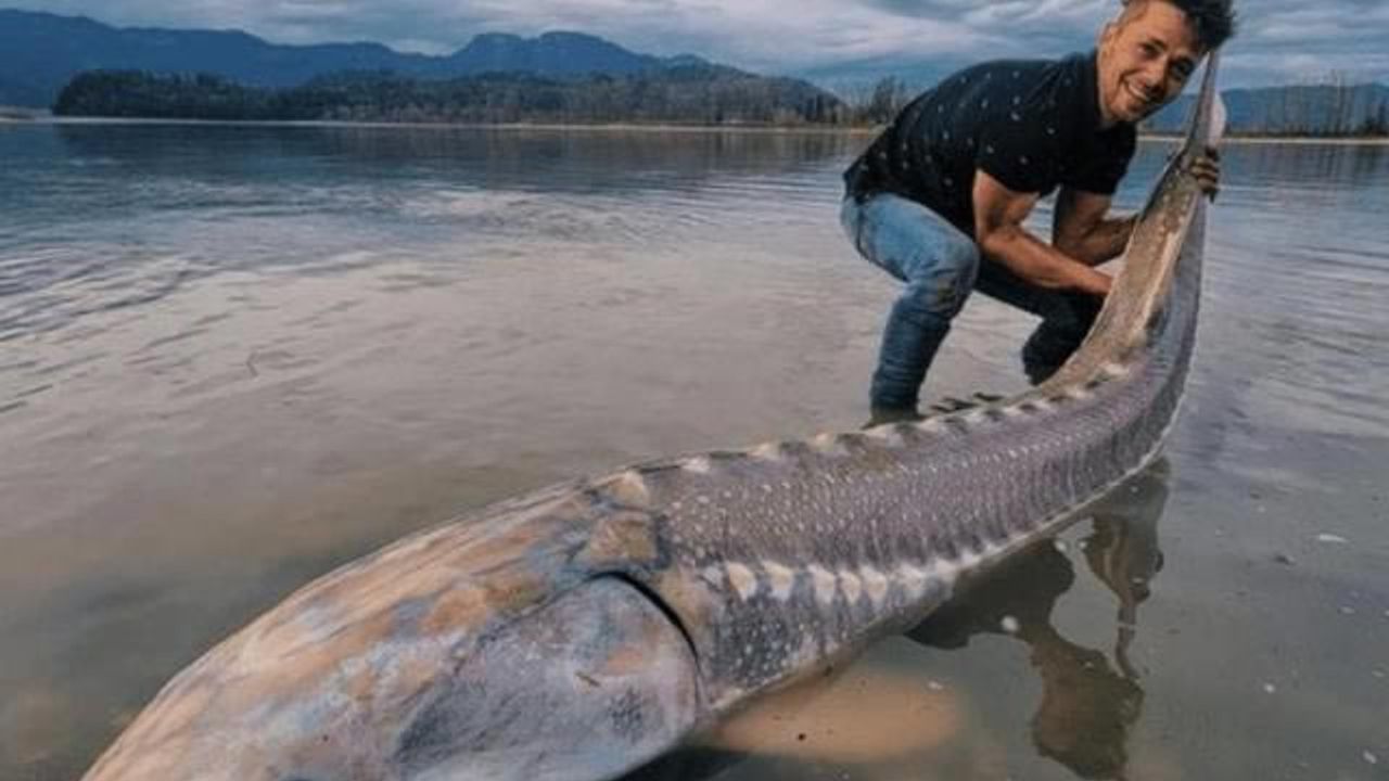 Dinozor sandığı dev balıkla 25 dakika boyunca mücadele edip karaya çıkardı