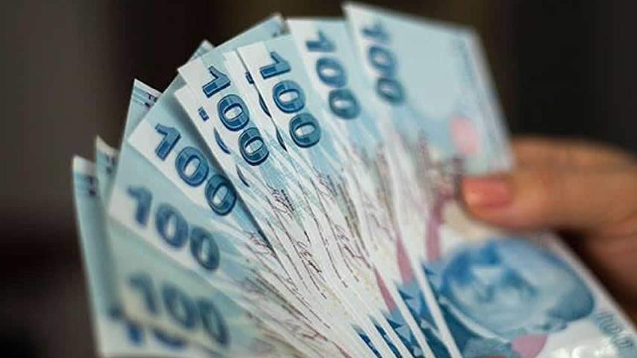 Banka hesaplarına 650 TL yatırıldı! Bakan duyurdu