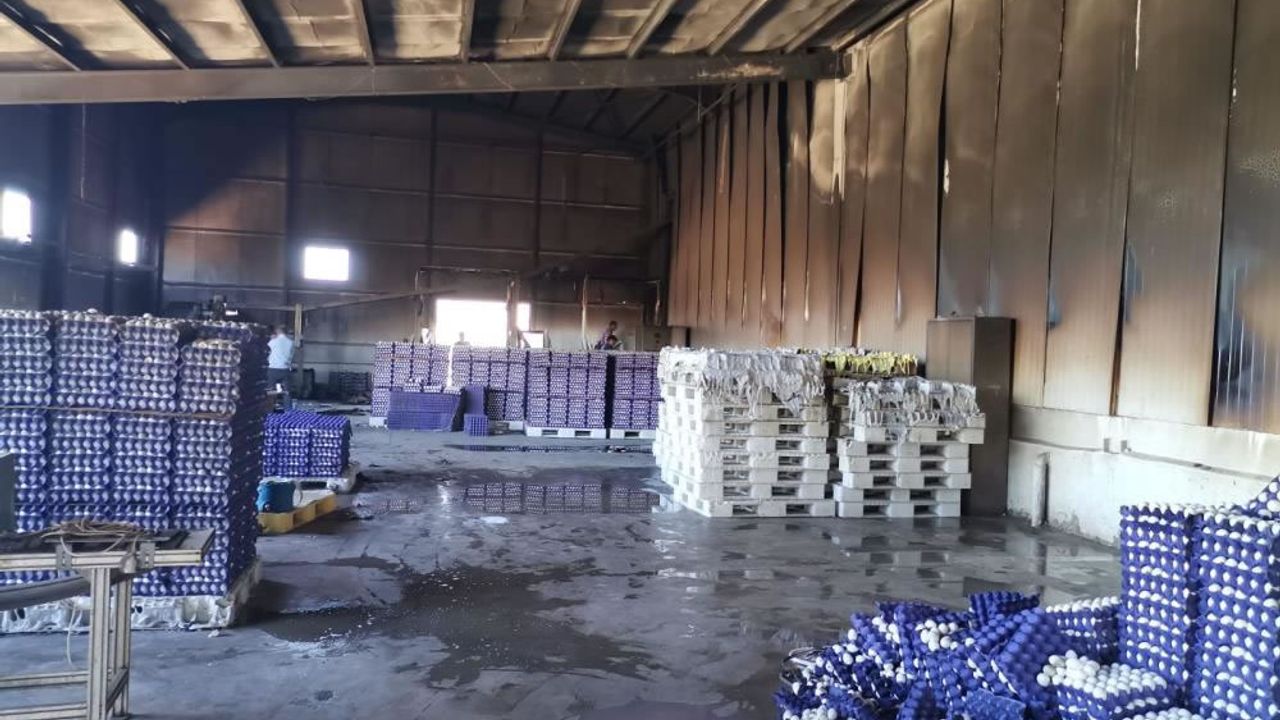 Kahramanmaraş'ta yumurta çiftliği yandı, 60 bin tavuk telef oldu