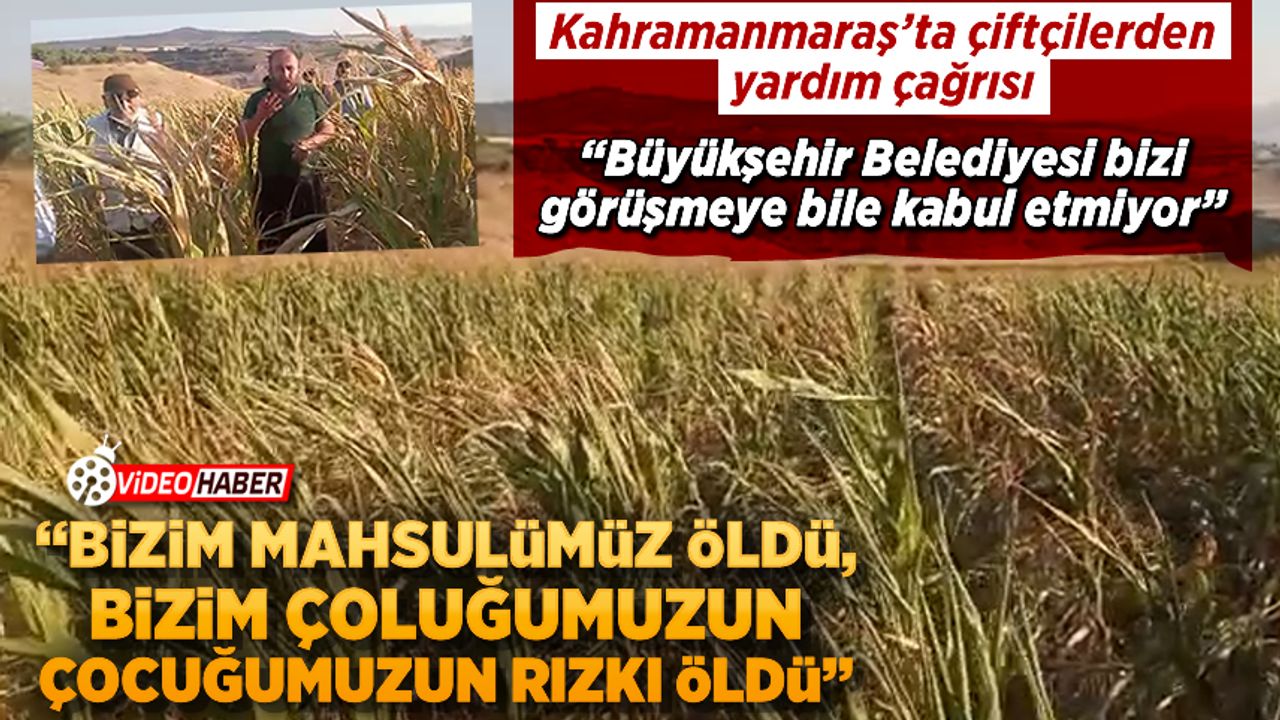 Kahramamaraş'ta çiftçilerin su isyanı: Bizim şah damarımızı kestiler