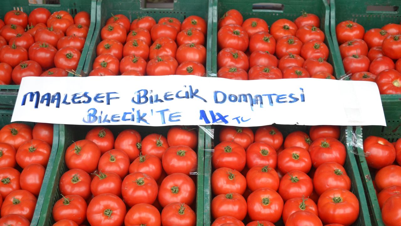 Bilecik'te bir manavın etiketi görenleri hüzünlendirdi! 'Maalesef Bilecik domatesi Bilecik'te 14 TL'