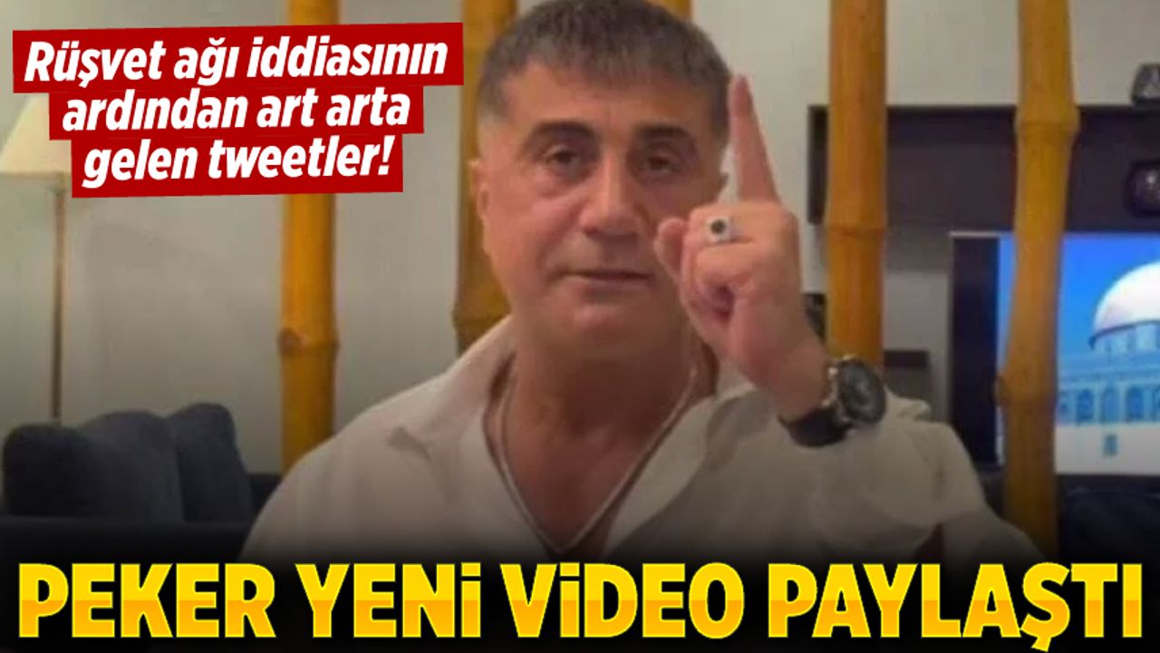 Sedat Peker rüşvet çarkını açıkladı! 50 tweet attı bir de AKP'li milletvekilinin videosu...