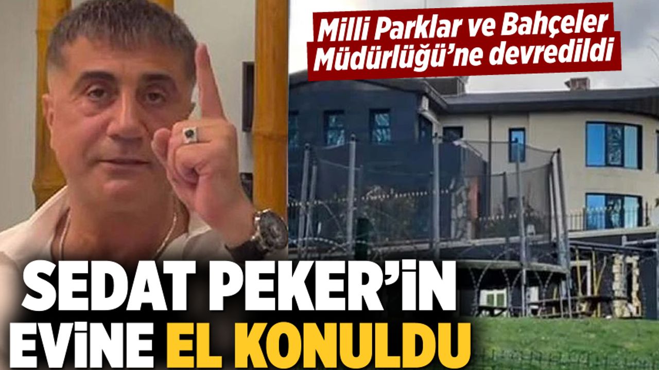 Sedat Peker'in Beykoz'daki evi, el konularak Milli Parklar ve Bahçeler Müdürlüğü'ne devredildi