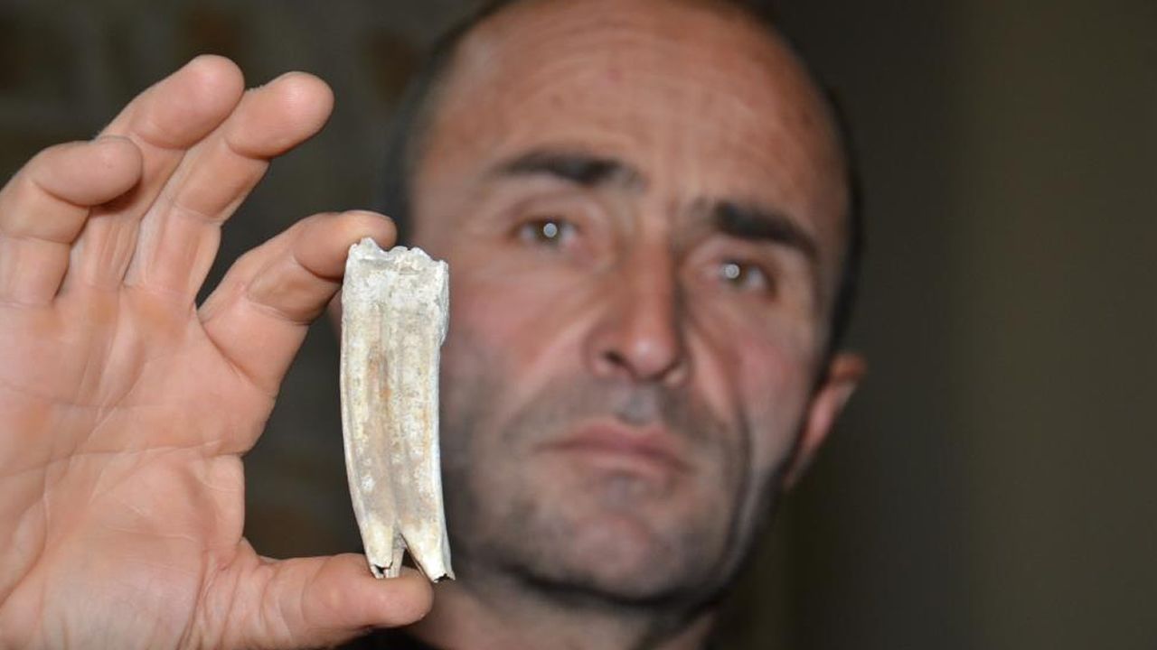 Kahramanmaraş'ta 16 milyon yıllık at dişi buldu