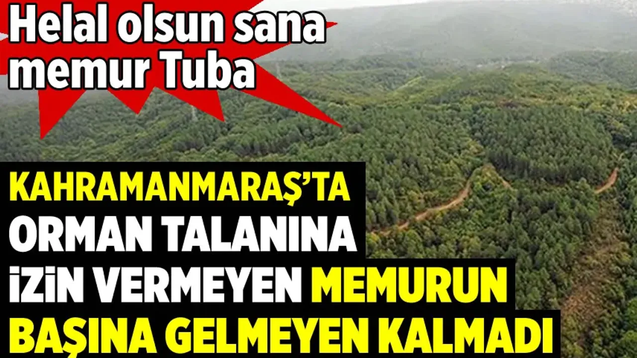Kahramanmaraş'ta orman talanına izin vermeyen memurun başına gelmeyen kalmadı: Helal olsun sana memur Tuba