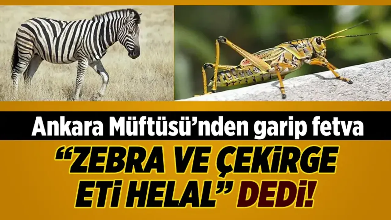Ankara Müftüsü’nden garip fetva: “Zebra ve çekirge eti helal” dedi