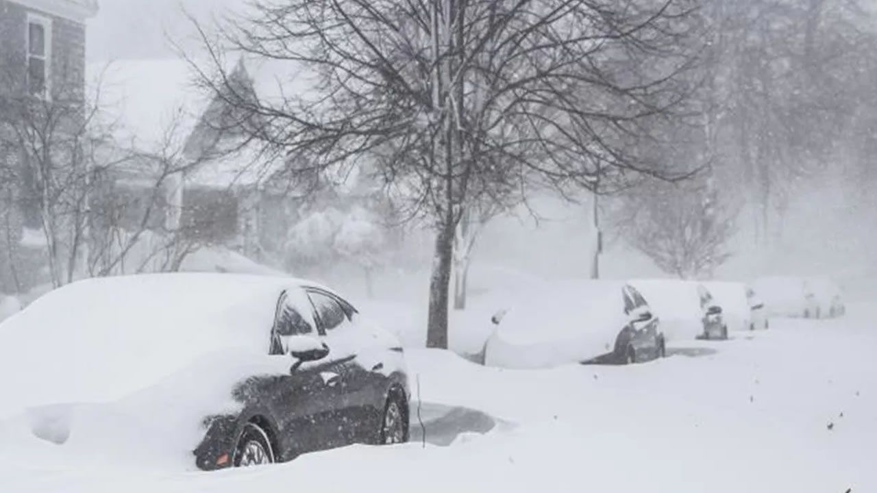 ABD, Kanada ve Japonya'yı kar fırtınası esir aldı! Gökten yarasa yağdı