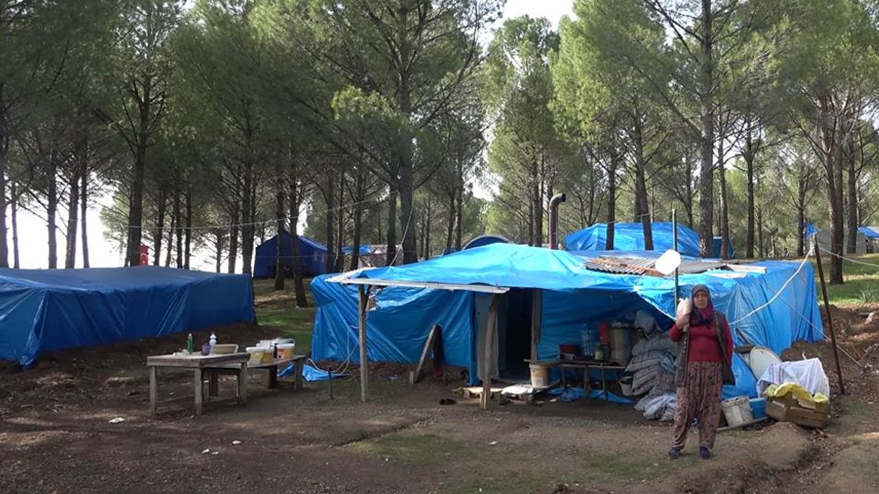 Kahramanmaraş'ta evleri yıkılan aileler ormanı mesken tuttu: "Kendimizi burada güvende hissediyoruz"