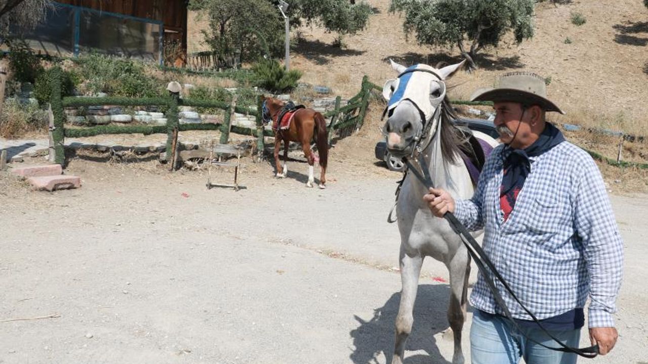 Kahramanmaraş'ta yetiştirecek alanı olmadığı için atlarını satılığa çıkardı