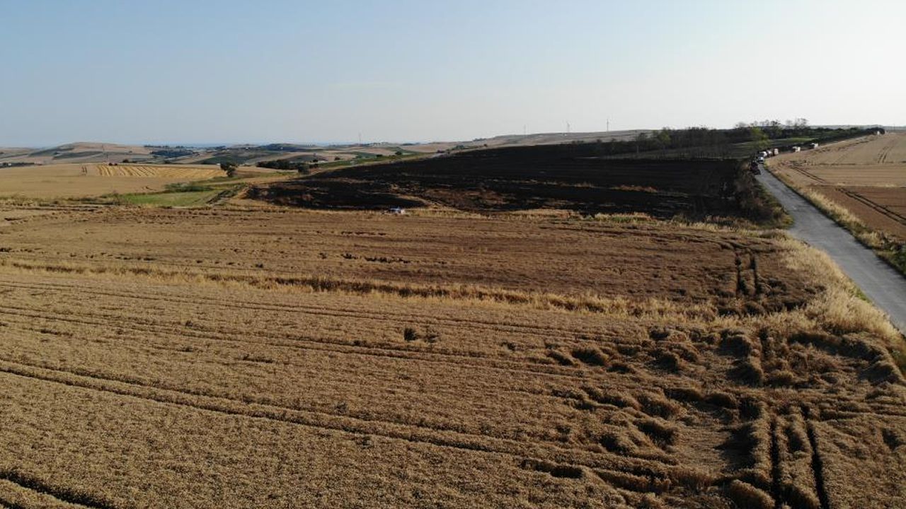 200 dönümlük buğday tarlası alev alev yandı