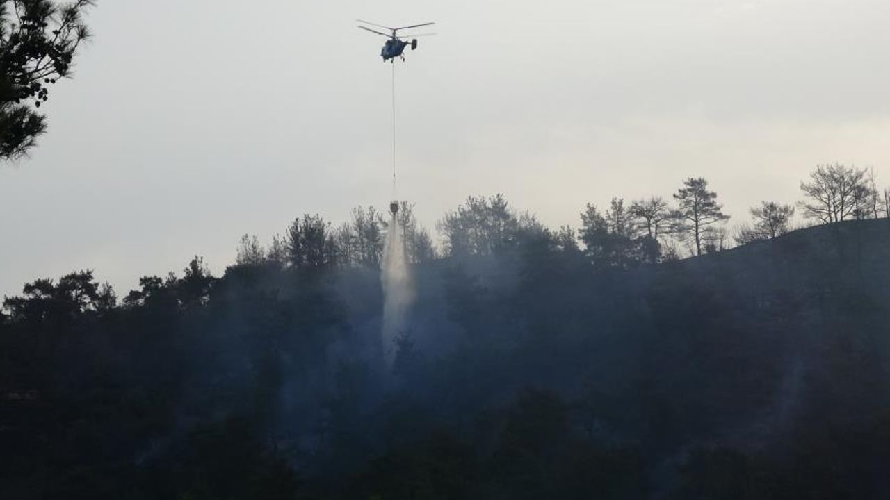 Çanakkale'de orman yangını! Günün ilk ışıklarıyla müdahale başladı