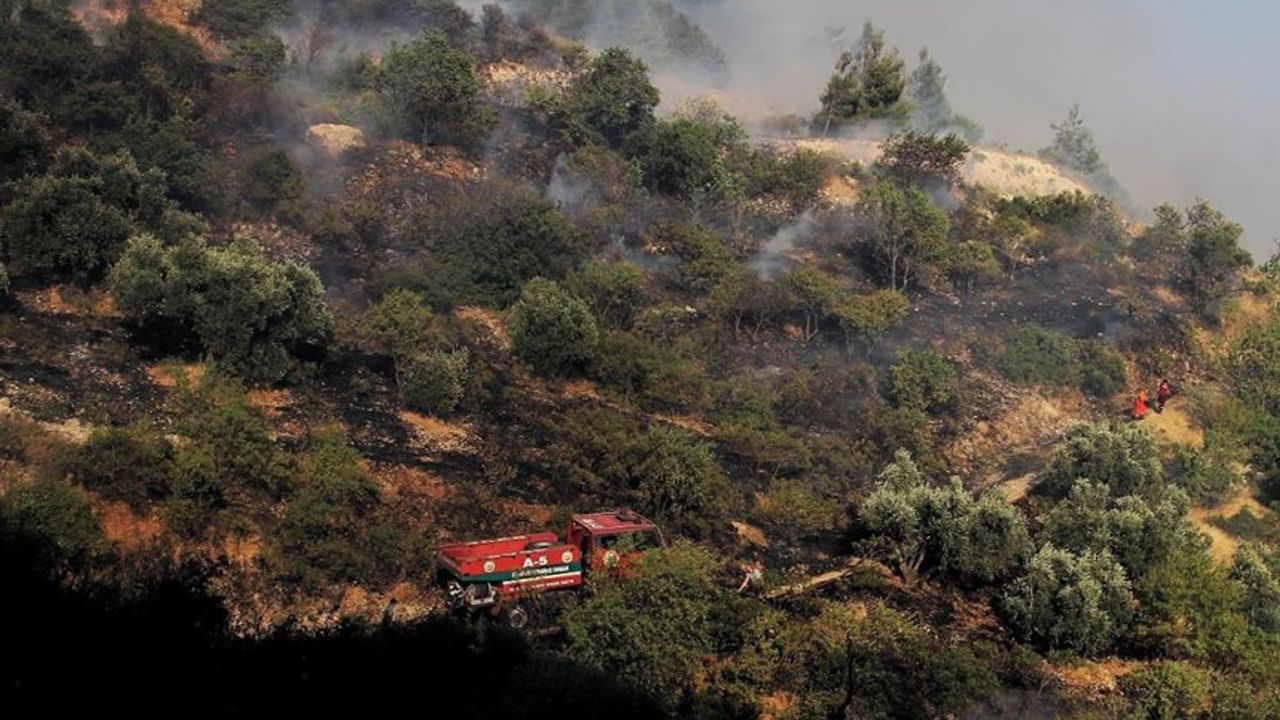 Kahramanmaraş'ta orman yangını kontrol altına alındı