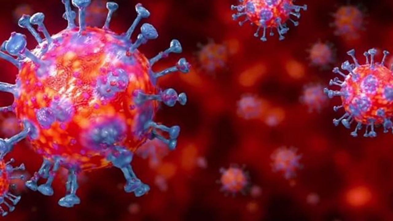 Koronavirüs vakaları bir ayda yüzde 38 arttı