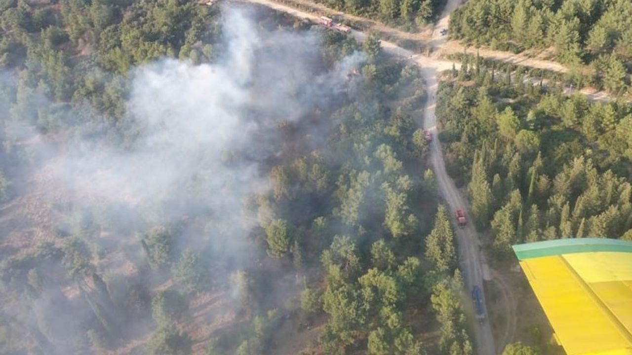 İzmir’de orman yangınına havadan ve karadan müdahale sürüyor