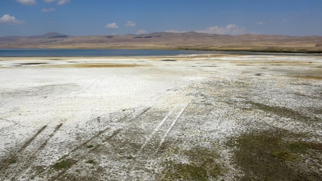 Kuş cenneti Erçek Gölü’nün kıyı şeridi buhar oldu
