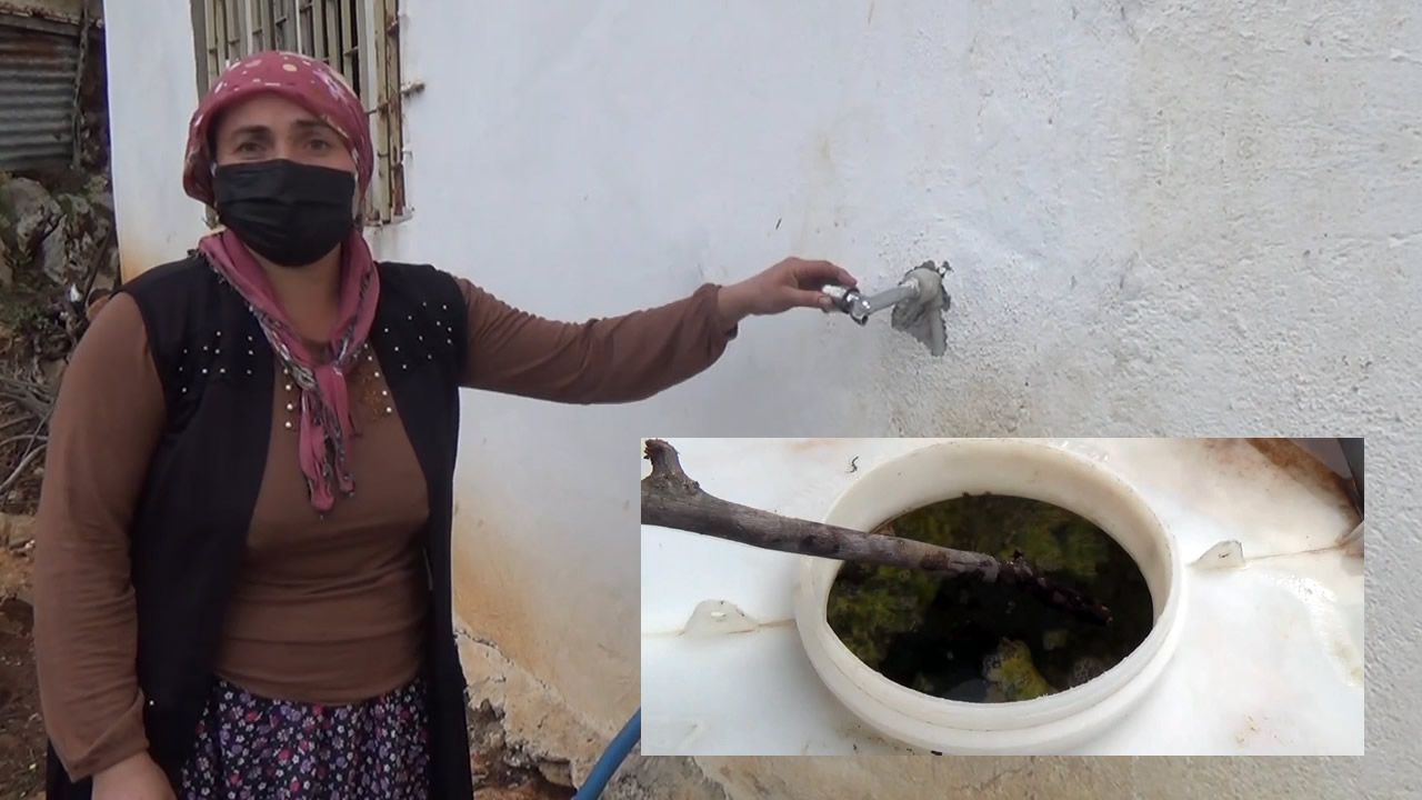 Kahramanmaraş'ta su krizi: Vatandaşlar yosunlu suyu içmeye isyan ediyor!"