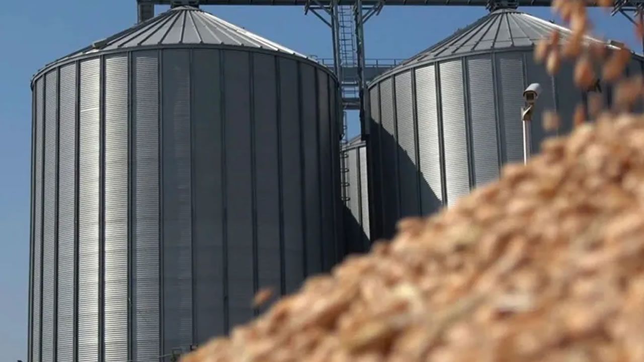 Şok edici skandal iddia: Devletin 68 milyon TL'lik buğdayı çalındı