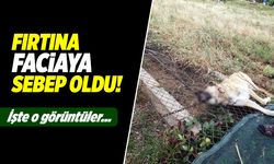 Korkunç fırtına! Çatılar uçtu, ağaçlar devrildi...