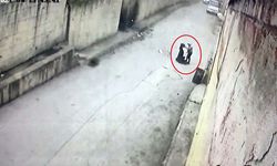 Bursa'yı lodos vurdu! Yeni görüntüler ortaya çıktı