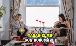 Yasak Elma 125. bölüm izle | Yasak Elma Youtube, FOX TV, tek parça ve full izle