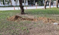 Antalya'da tüyler ürperten olay!  Sevgilisine ilgi duyduğunu iddia ettiği arkadaşını öldürüp cinsel organını kesti
