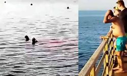 Katil köpek balığı kadını parçaladı! Dehşet anları kamerada