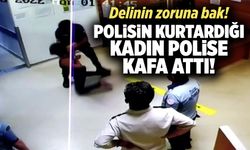 İstanbul’da polisin kurtardığı kadın, polise kafa attı! O anlar kamerada