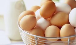 Yumurta fiyatları kanatlandı: Tanesi 5 lira oldu