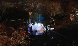 Ağaçlık alana uçan otomobil alev alev yandı: 1'i polis 2 kişi hayatını kaybetti