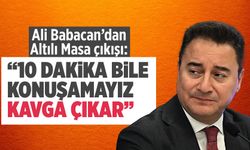 Ali Babacan: 10 dakika bile konuşamayız, kavga çıkar