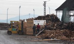 Kahramanmaraş'ta deprem sonrası palet üretimi arttı