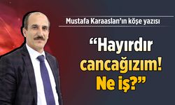 "Hayırdır cancağızım! Ne iş?"