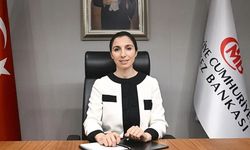 Merkez Bankası Başkanı Erkan'dan bankacılara ''döviz'' ayarı