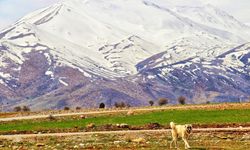 Kahramanmaraş'a yılın ilk karı yağdı, kartpostallık görüntüler oluştu