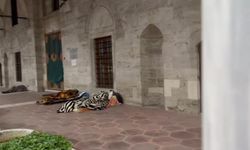 Evsizler, devletin şefkatini bekliyor! Geceyi cami avlularında titreyerek geçiriyorlar