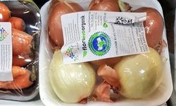 Türkiye’de 6 tane organik soğan 68,90 TL’ye satılmaya başlandı