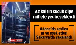 Az kalsın sucuk diye millete yedireceklerdi! Adana’da kesilen 700 kilogram at ve eşek eti Sakarya’da yakalandı