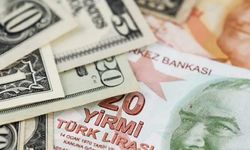 Dev banka 2025 yılında Dolar kuru için sürpriz bir tahminde bulundu