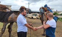 Fiyatları 200 ile 300 bin TL arasında değişen kurbanlık develer satılmaya başlandı
