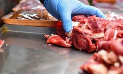 Salmonella hastalığı taşıyan 20 ton karkas etin imha edileceği açıklandı