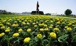 Kahramanmaraş çiçek açıyor