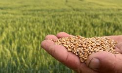 TÜRKTOB Başkanı Güler’den çiftçilere ‘bin yıllık tohum’ uyarısı