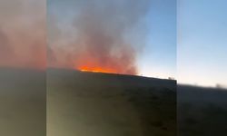 Afşin'de anız yangını