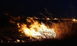 Kahramanmaraş'ın kırsal alanında anız ve örtü yangını çıktı