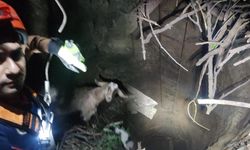Kahramanmaraş'ta su kuyusuna düşen keçi kurtarıldı