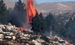 Kahramanmaraş'ta alevler içinde kalan orman söndürüldü